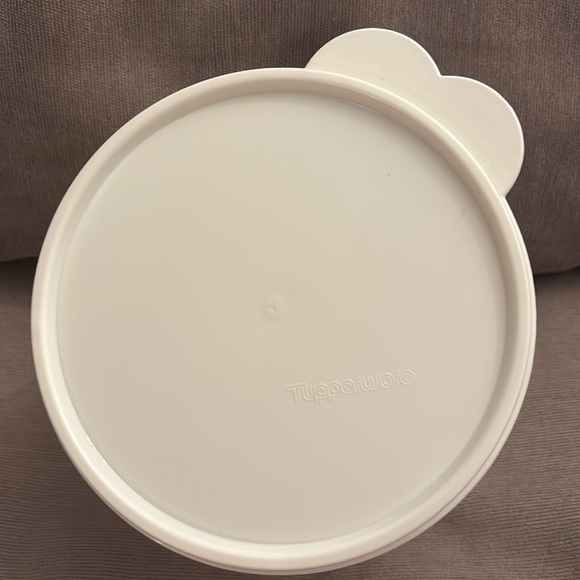 Beekman 1802 Tupperware Plastic Container with Lid - Picture 2 of 6